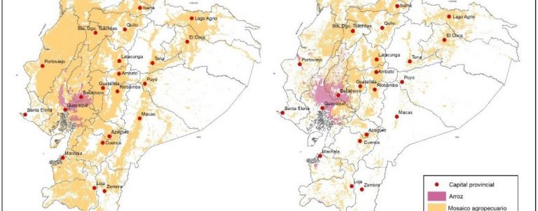 La tierra en la década ganada Conflictos en el control y uso del suelo para la transformación productiva vs la producción alimentaria en Ecuador