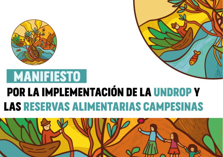 [Manifiesto] Por la Implementación de la UNDROP y las Reservas Alimentarias Campesinas